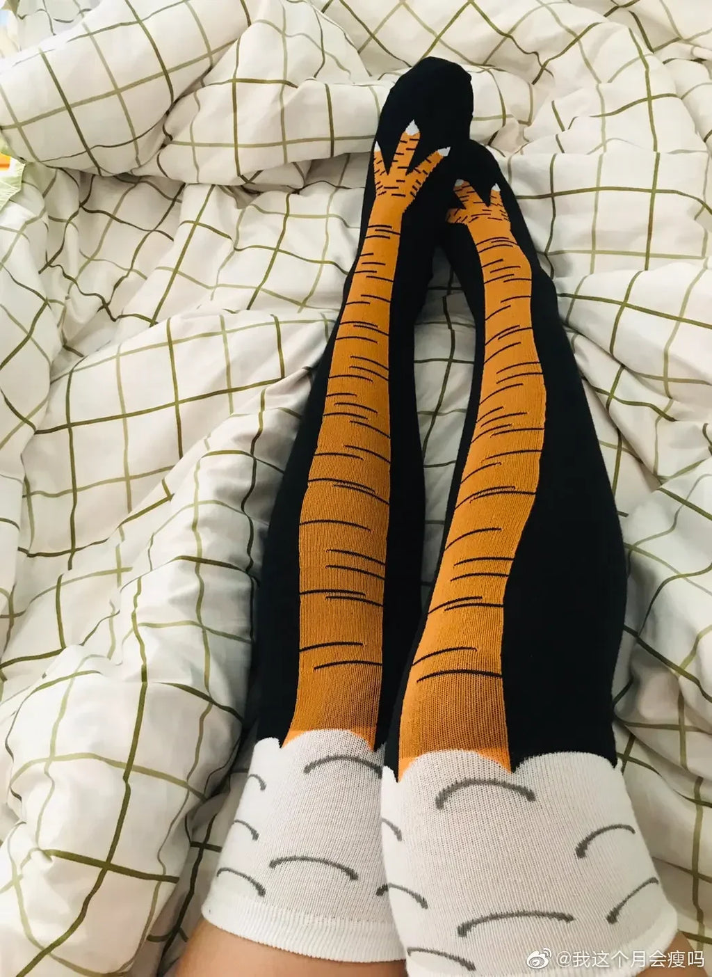 Calcetines Chicken Legs: ¡Saca tu lado más animal!